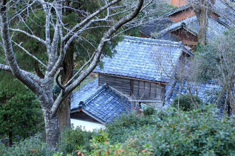 空き家問題、どうする？使わなくなった家をどう市場に流通させるか。熊本県合志市で始まっている新しい取り組み