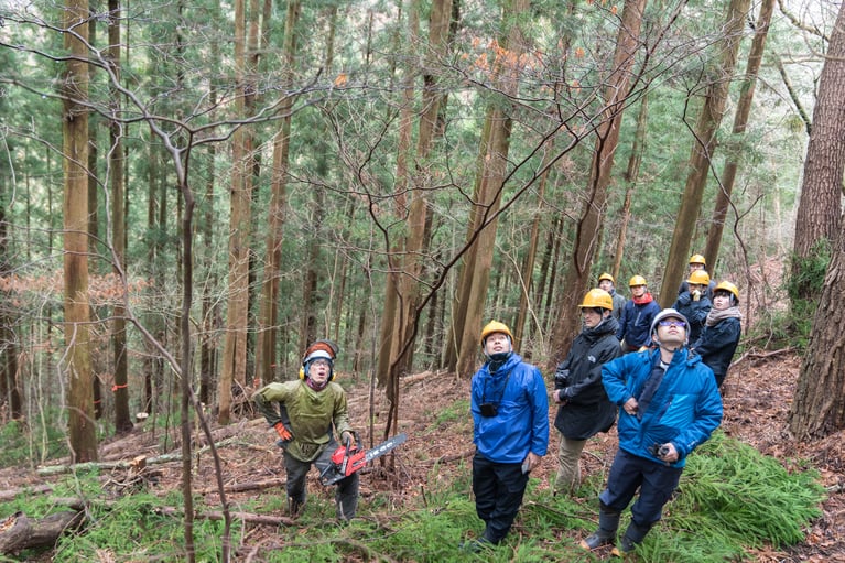 林業、それは嘘のない生き方。長野県・根羽村の林業にみる、日本の中山間地域の進むべき未来像
